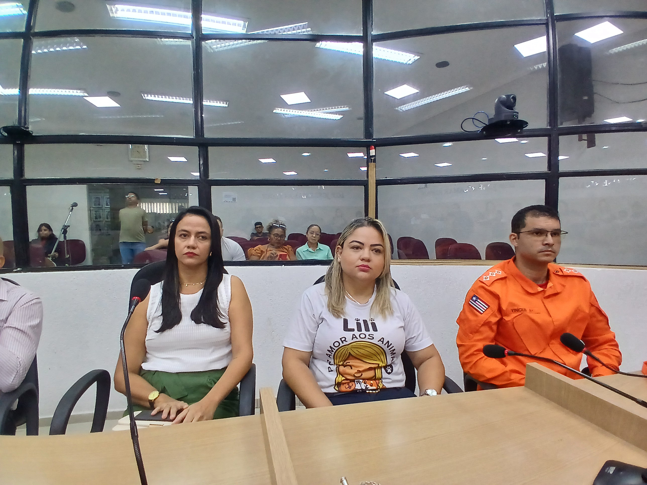 Câmara de Timon realiza audiência pública inédita e avança na construção de políticas para a ca...